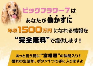 サイト内画像