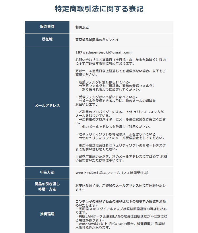 特商法内画像